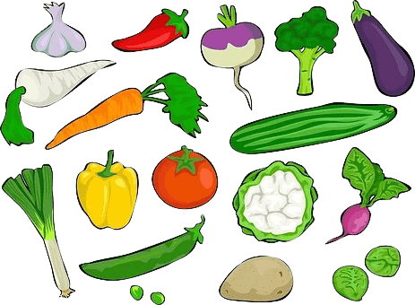 Draw illustration of vegetables by Pandiputrawan | Fiverr
