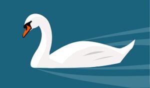 essay in Swan in Sanskrit