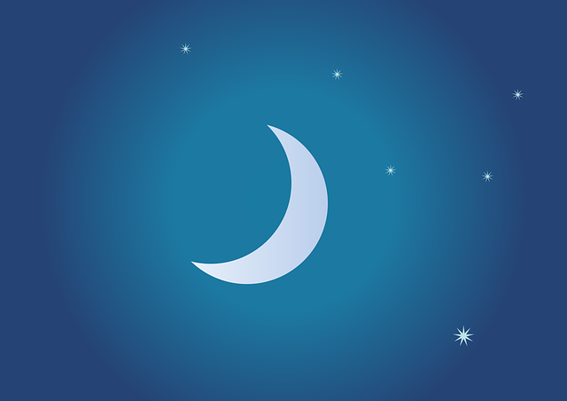 Essay on moon in Sanskrit