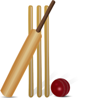 Essay on Cricket in Sanskrit