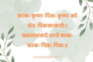 काकः कृष्णः पिकः कृष्णः Subhashita