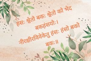 हंसः श्वेतो बकः श्वेतो Sanskrit proverb or Subhashita on Wisdom