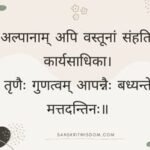 अल्पानाम् अपि वस्तूनां संहतिः कार्यसाधिका Sanskrit Proverb on Advice