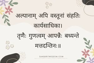 अल्पानाम् अपि वस्तूनां संहतिः कार्यसाधिका Sanskrit Proverb on Advice