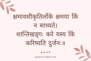 क्षमावशीकृतिर्लोके क्षमया किं न साध्यते Sanskrit Proverb on Advice