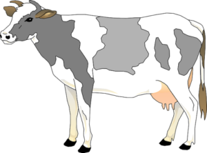 Short Essay on Cow in Sanskrit