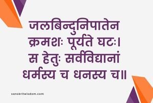 जलबिन्दुनिपातेन क्रमशः पूर्यते घटः Sanskrit Proverb on Knowledge