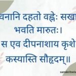 वनानि दहतो वह्नेः सखा भवति मारुतः Sanskrit Proverb on Friendship