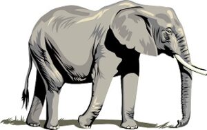 Short Sanskrit Essay on Elephant