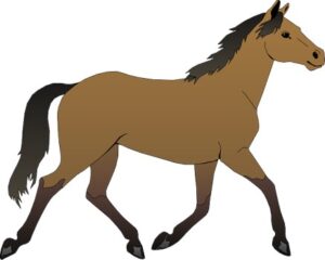 Short Sanskrit Essay on Horse