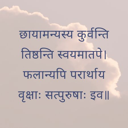 छायामन्यस्य कुर्वन्ति तिष्ठन्ति स्वयमातपे Sanskrit Proverb on Virtue