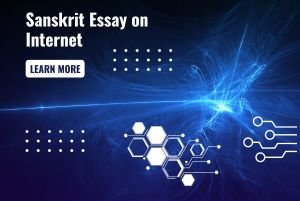 Sanskrit Essay on Internet