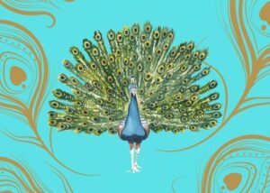 Short Essay on Peacock in Sanskrit