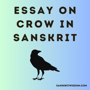 Sanskrit Essay on Crow