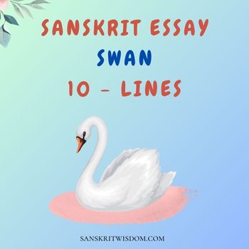 Sanskrit Essay on Swan