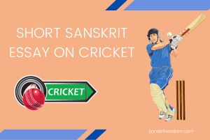 Short Sanskrit Essay on Cricket