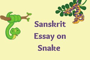 Sanskrit Essay on Snake 10 Lines