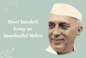 Short Sanskrit Essay on Jawaharlal Nehru