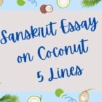Sanskrit Essay on Coconut