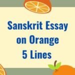 Sanskrit Essay on Orange 5 Lines
