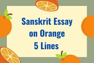 Sanskrit Essay on Orange 5 Lines