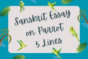 Sanskrit Essay on Parrot