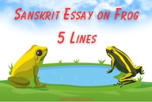 Eassy on Frog 5 Lines