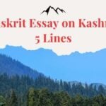 Sanskrit Essay on Kashmir