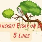 Essay on Owl 5 Lines
