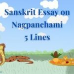 Sanskrit Essay on Nagpanchami