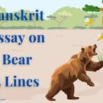Sanskrit Essay on Bear