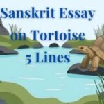 Sanskrit Essay on Tortoise