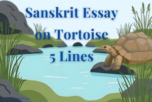Sanskrit Essay on Tortoise