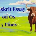 Sanskrit Essay on Ox