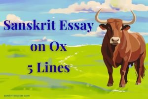 Sanskrit Essay on Ox